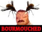 dard-bourdon-volant-bourmouche-mouche-insecte-ailes-monstruosite-monstre-fusion-bourmouched-risiknacki-risitas-trisitas
