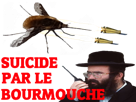 monstruosite-mouche-insecte-suicide-fusion-ailes-dard-other-bourdon-bourmouched-volant-bourmouche-monstre