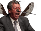 insecte-other-balkany-aile-dard-bourmouche