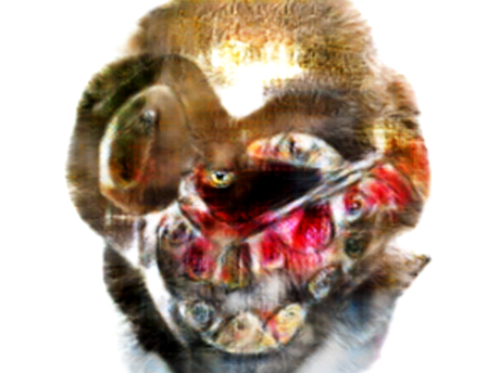 abomination immonde omg taxidermie jvc difforme gore monstre stickers immondice