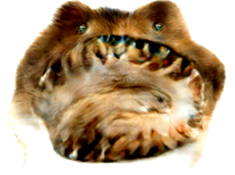 creature gange taxidermie abonation immondice bordel omg jvc monstrueux