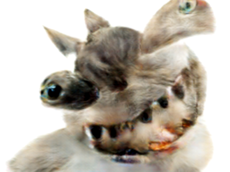 creature immondice monstrueux taxidermie gange bizarre omg bordel