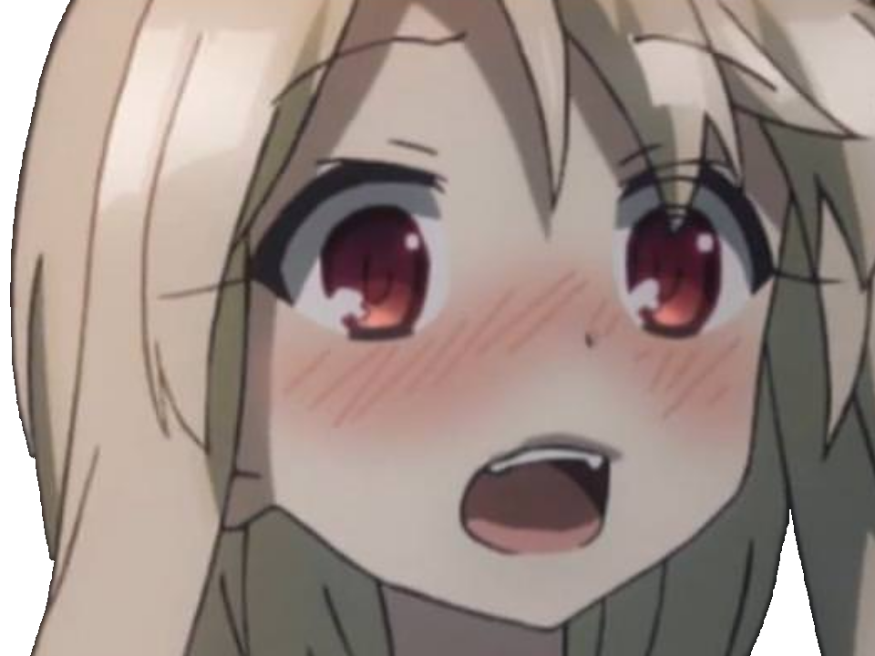 kaleid fate illya kikoojap