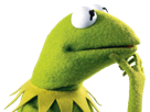 other-calcul-reflexion-pensee-doute-kermit