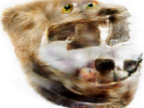 difforme risitas immondice monstre taxidermie bordel creepy omg