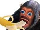 souse-gorille-risisinge-pave-suce-des-risitas-bounane-singe-di-mma-banane