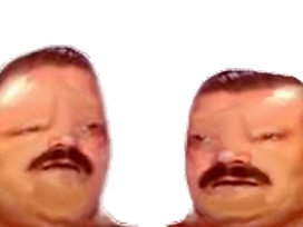 risitas fic moche laid degueulasse celestin