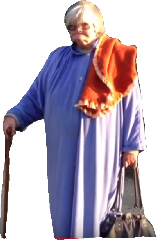 tortue vieille crapeau