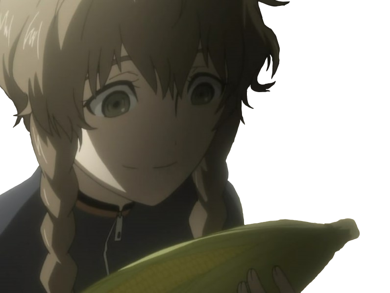 kikoojap suzuha steinsgate
