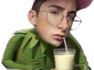 risitas 4emecouille cottaz lythan kermit