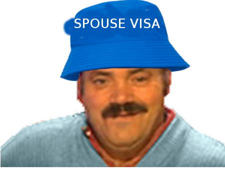 japon visa risitas master elite spouse