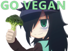 legume-vegetarien-vegetalien-brocoli-vegan-tomoko