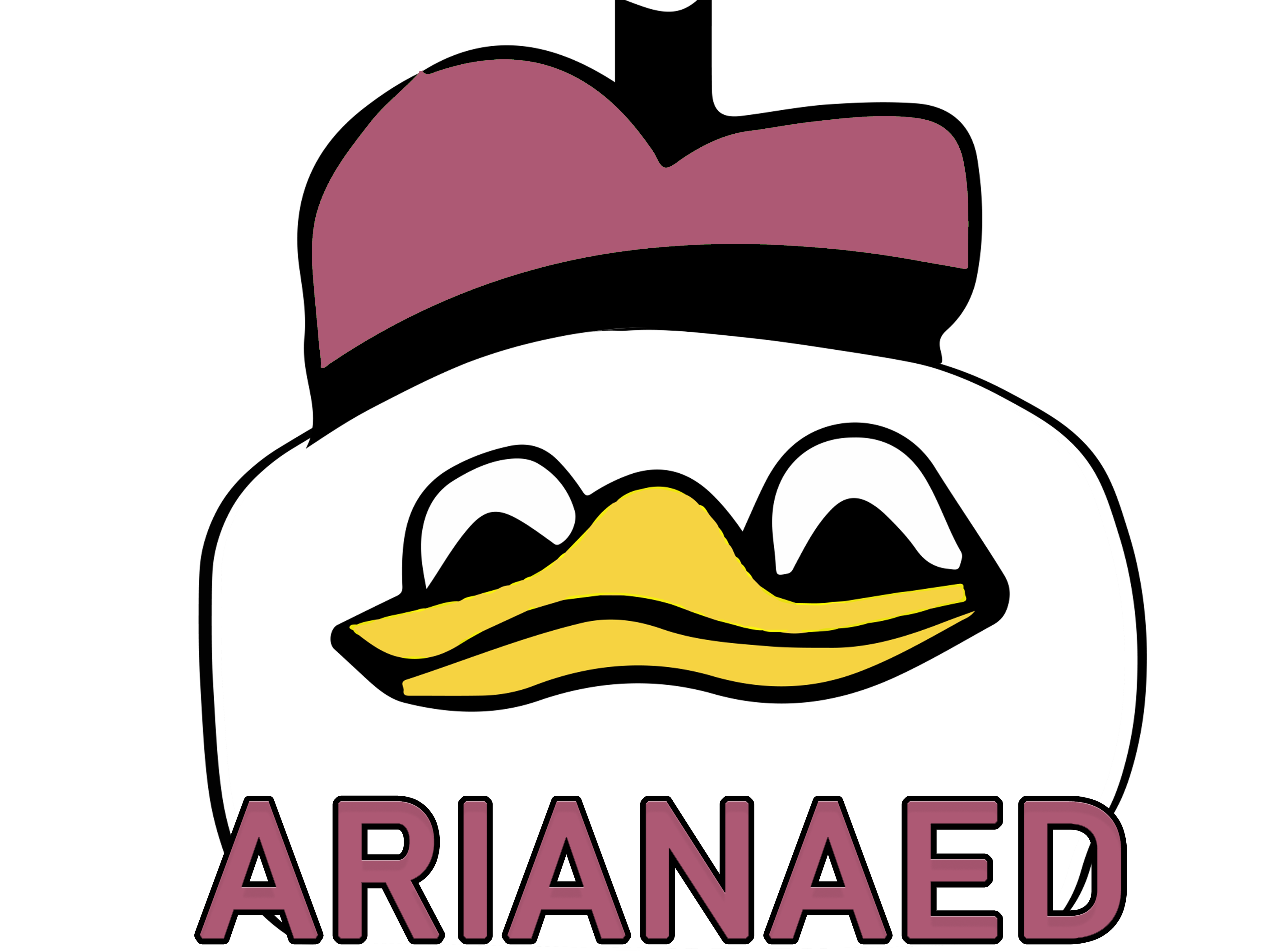 arianaed dolan fw risitas