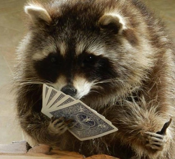 reflexion 2sucres epop carte chatdeluxe pito modo