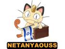 valise-pognon-fric-pokefeuj-pokemon-miaouss-juif-netanyaouss-drapeau-netanyahou-benyamin-christavalier-argent