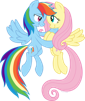 coeur-little-ponyrainbow-other-mlpmy-dash-amour-fluttershy
