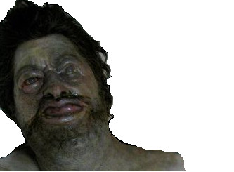 kadhafi baleine risitas mort