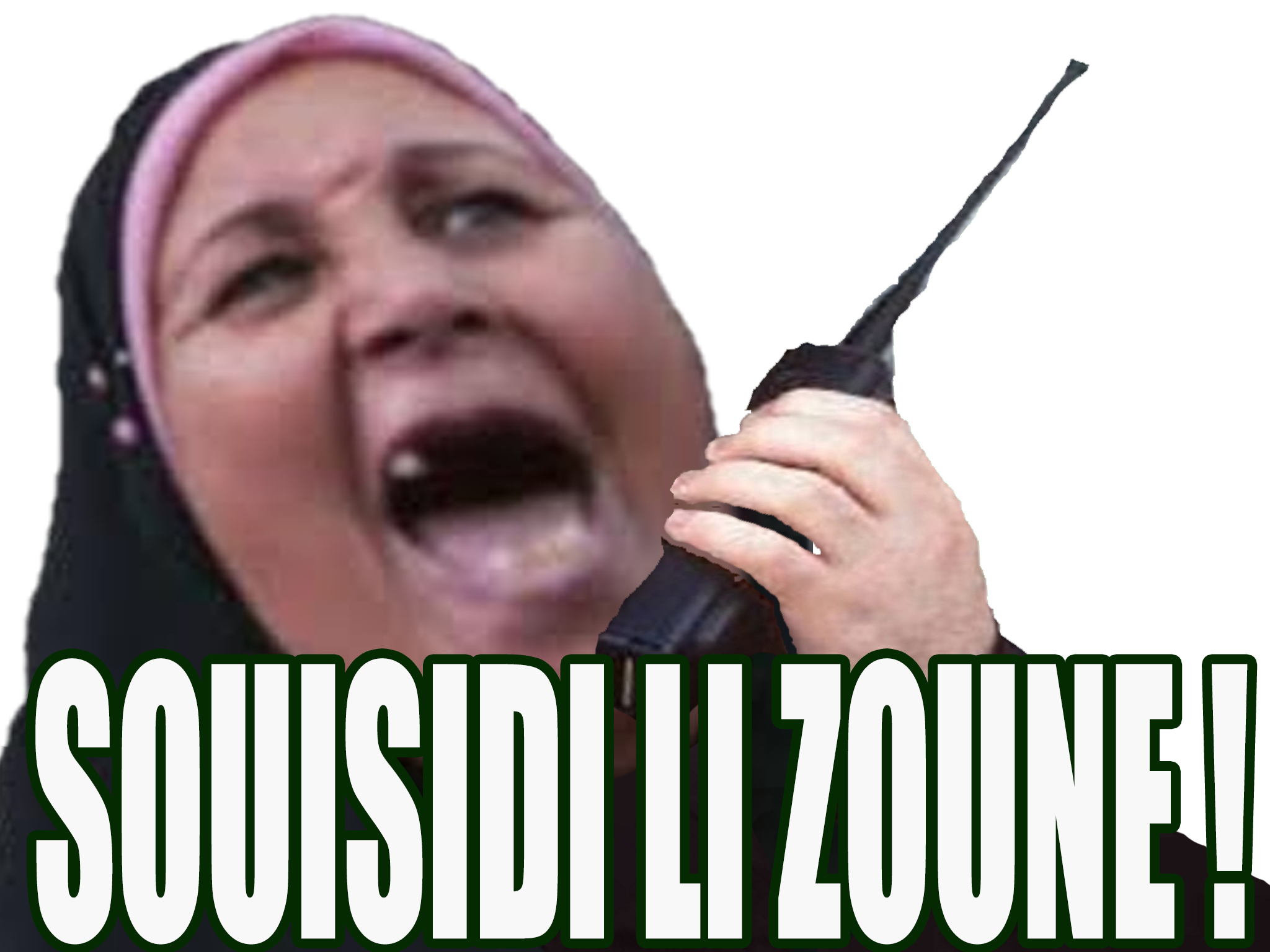 islam suicide terroriste arabe siouniste si tolki jvc zone musulman soral li