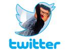 feminazie-risitas-lgbt-lunettes-oiseau-progres-sjw-cheveux-mer-bleus-twitter-grosse-feministe-baleine