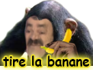 nameless singe risitas boxxy tirer banane