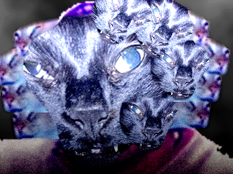 risitas chat gange omg abomination difforme creepy ganged