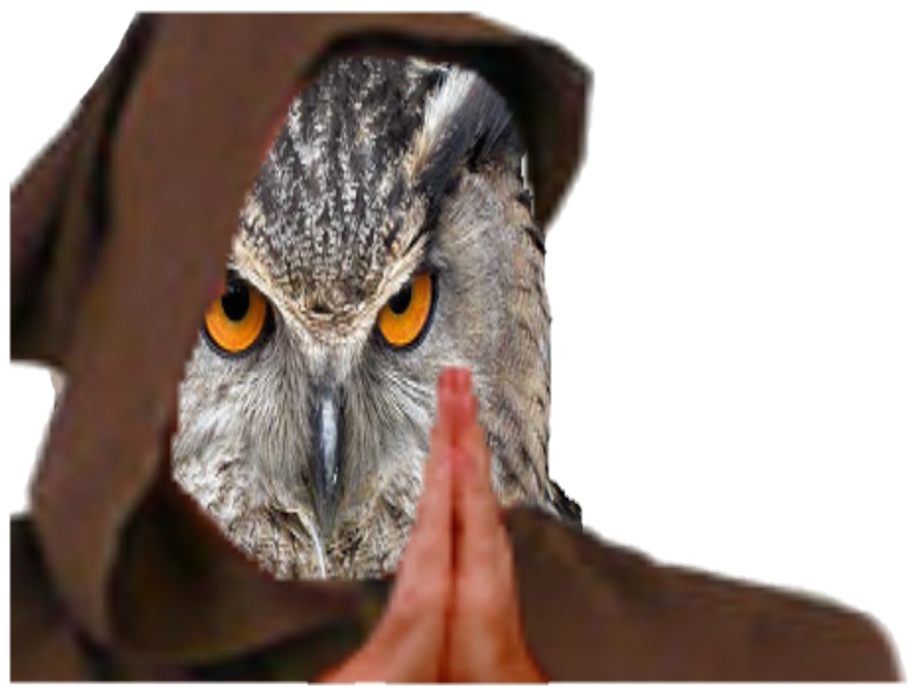 hibou strigides prie