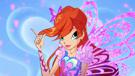 bloom-winx-other-conseil