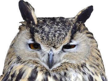 other pem bon hibou