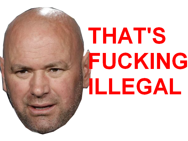 dana white ufc