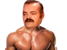 muscle-muscu-go-risitas