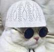 mignon-islam-chat-other-qlf