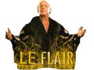le-other-flair-ric