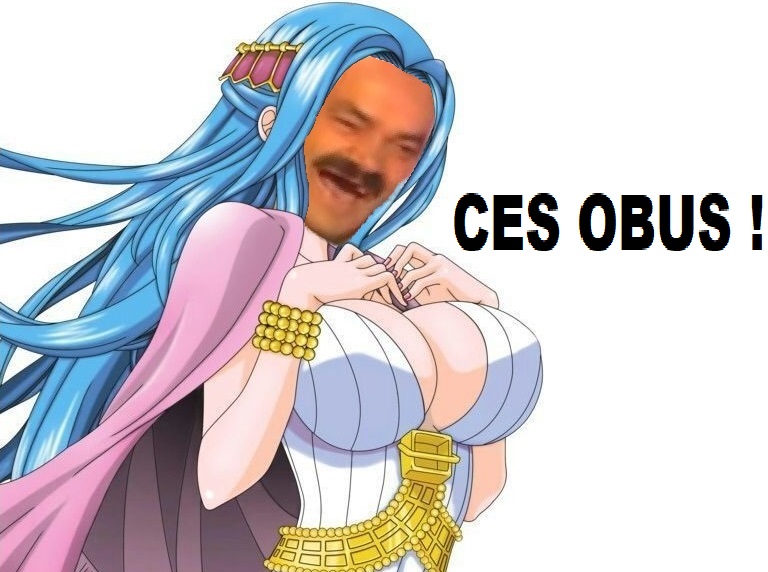 christavalier vivissou detresse princesse one obus ces piece en vivi issou fanservice