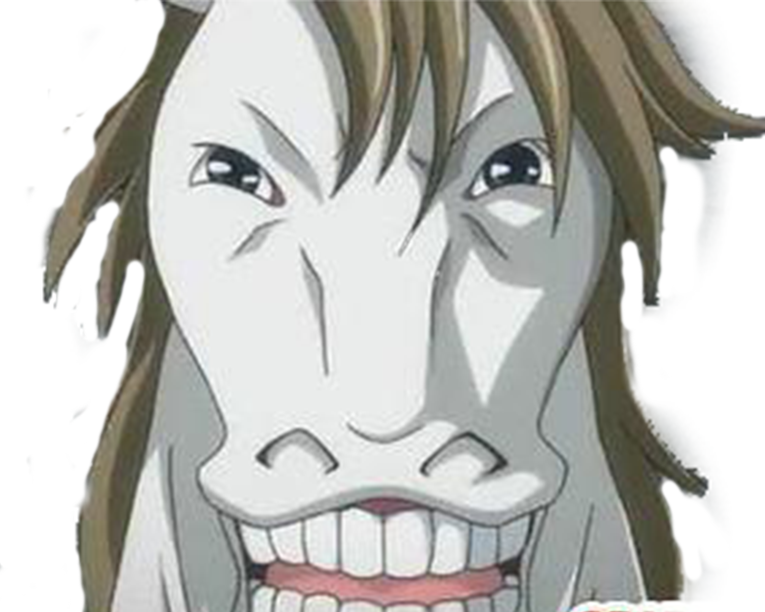 sourire hentai cheval kikoojap