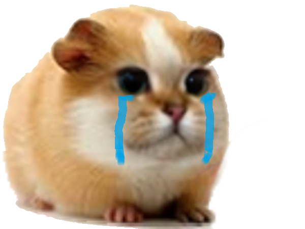 risitas chat hamster chamster
