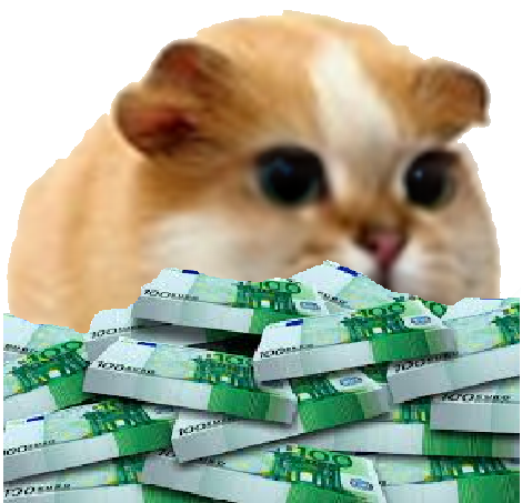 chat risitas hamster chamster