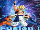 dbz-chabou-fusion-validaient-other