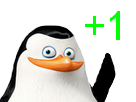 pingouin-jvc-1-validaient