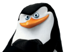 validaient-jvc-qlf-pingouin