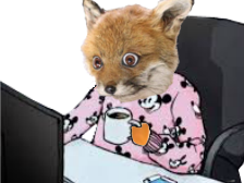 risitas ryodelrio pyjama renard cafe