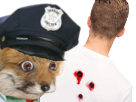 police-other-ryodelrio-renard-3-dos-enquete-balles