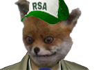 risitas ryodelrio rsa renard pauvre