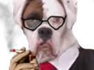 chien-fume-other-clope-fumee-dog