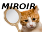 other-avenoel-chat-miroir-akagami