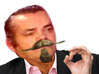 empire empereur roi napoleon 3 france risitas zemmour