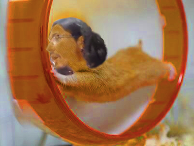 victime cuckos roue nonoss luis hamster merde cage totoss