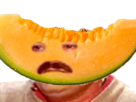 fruit-nutrinazi-risitas-melon