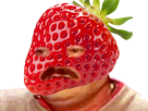 fraise-fruit-risitas-nutrinazi