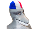 jvc-dauphin-constitution-dolphinman-bonnet-france-patriote