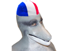 nouveau-patriote-risitas-francais-bonnet-dauphin